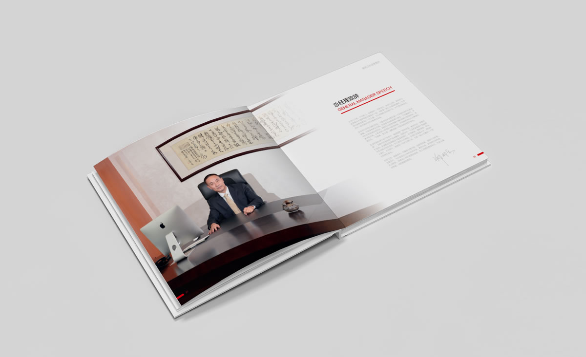 金地建設(shè)品牌戰(zhàn)略規(guī)劃、標(biāo)志設(shè)計(jì)、VI設(shè)計(jì)、畫冊(cè)設(shè)計(jì)_全力設(shè)計(jì)