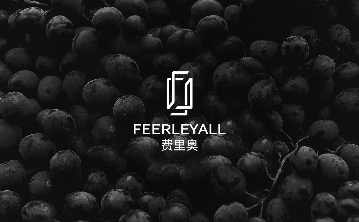 費里奧紅酒品牌標志設計,費里奧紅酒瓶貼設計,費里奧紅酒包裝設計,費里奧品牌設計,高端紅酒包裝設計