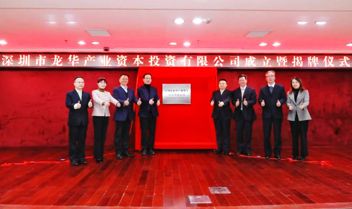 龍華資本品牌形象設(shè)計,龍華資本標志設(shè)計,龍華資本商標設(shè)計,國企標志設(shè)計,國企LOGO設(shè)計,國企VI設(shè)計,國企品牌設(shè)計